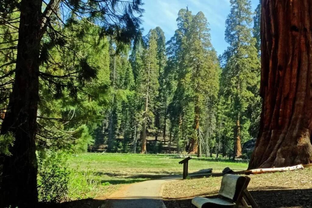 Sequoia Cabin By The River Three Rivers Exterior foto